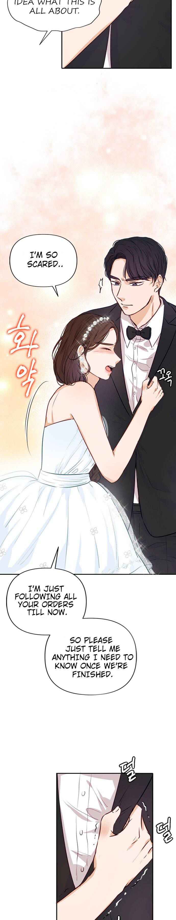 The Story of Park's Marriage Contract Chapter 3 29